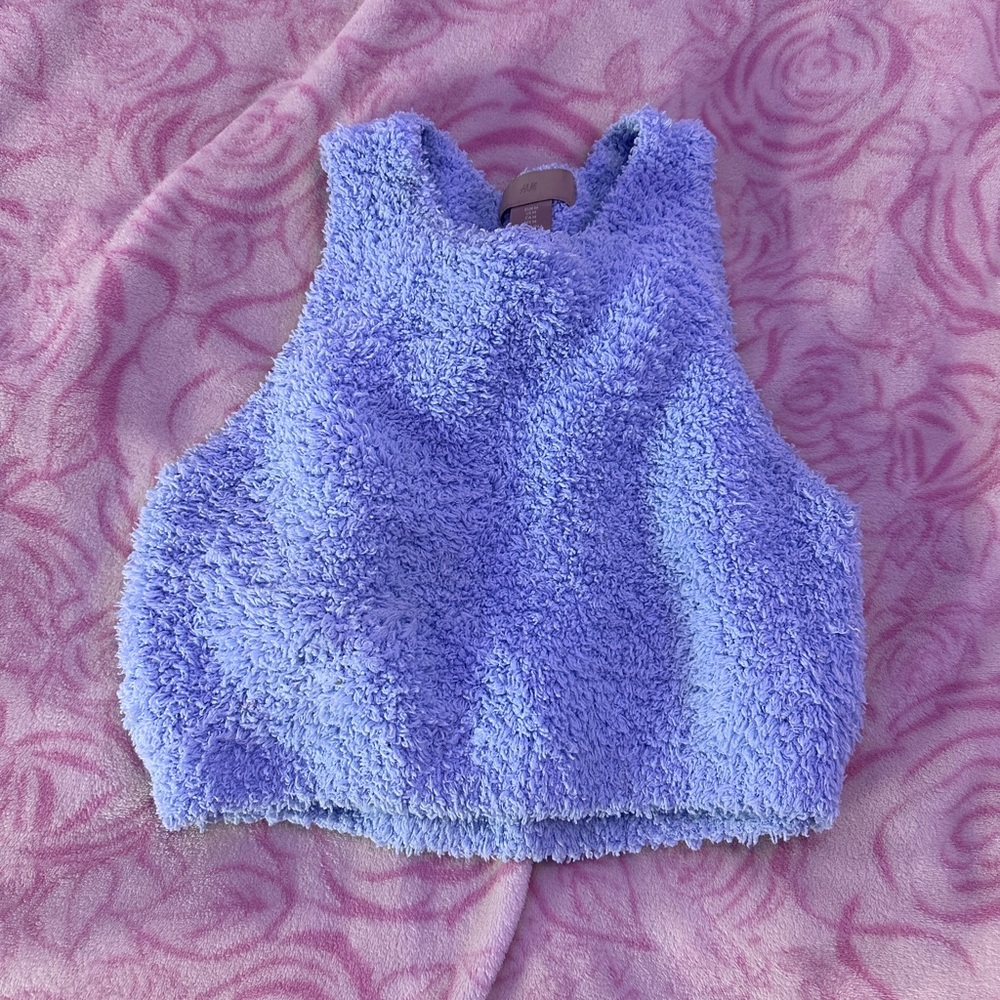 Fuzzy h&m crop top